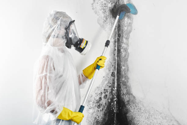 Forensic Mold Investigation in Happy Valley, CA