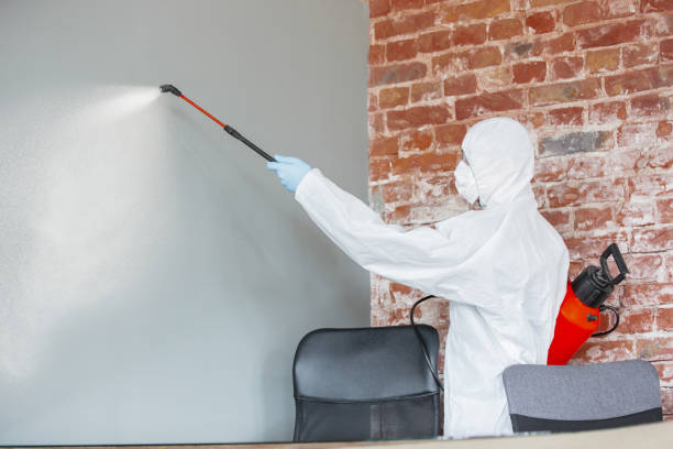 Best HVAC Mold Inspection and Cleaning  in Happy Valley, CA