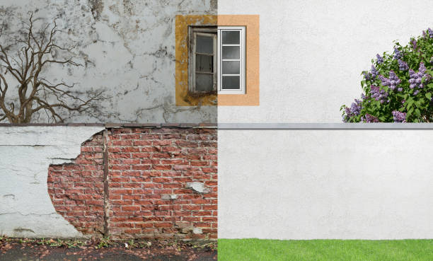 Mold Remediation for Rental Properties in Happy Valley, CA