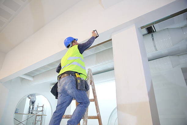 Happy Valley, CA Mold Removal Company