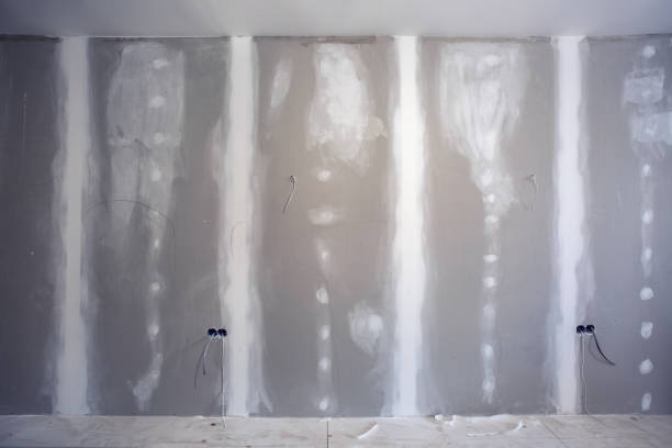 Best Basement Mold Removal  in Happy Valley, CA